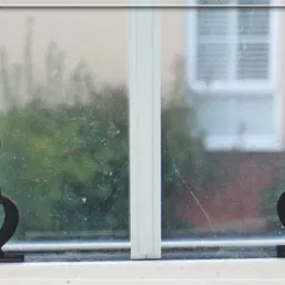 Chân Đế Chữ Mèo