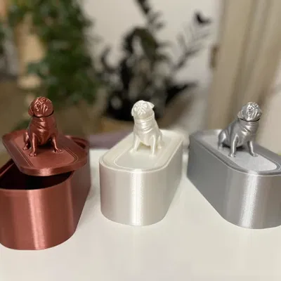 Hộp đựng trang sức hình pug