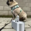Hộp đựng trang sức hình pug - Thumbnail 2