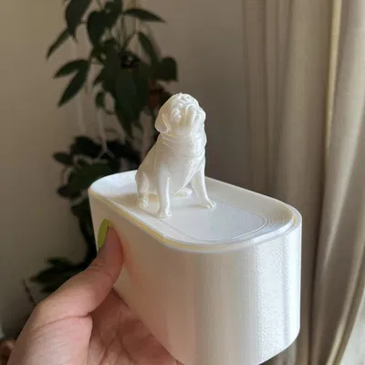 Hộp đựng trang sức hình pug