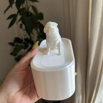 Hộp đựng trang sức hình pug