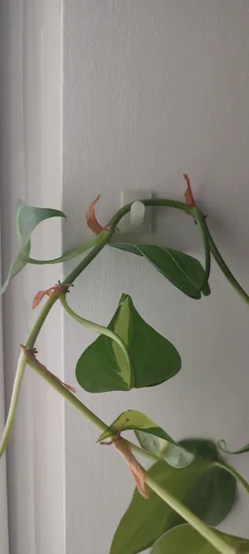 Móc treo cây cảnh rủ - Image 1