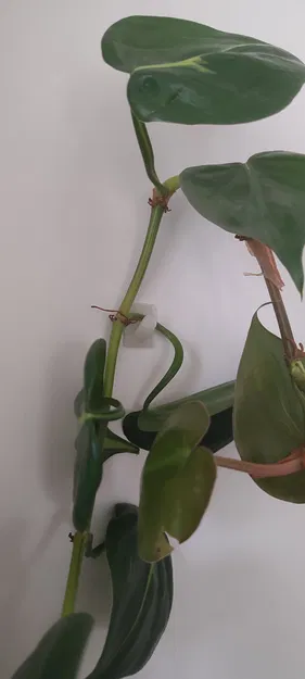 Móc treo cây cảnh rủ - Image 2