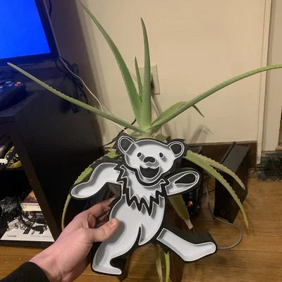 Hộp đèn Gấu Nhảy Grateful Dead