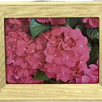 Phụ kiện Khung Ảnh và Cửa Sổ cho Nhà Búp Bê