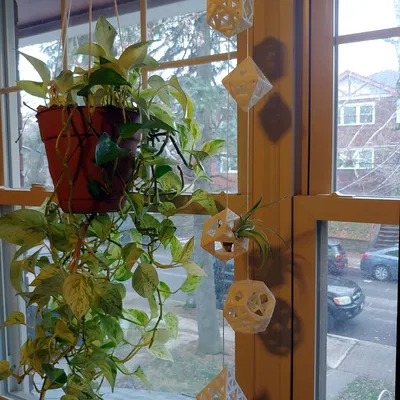 Chậu Treo Cây Hình Học Sierpinski