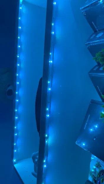 Kệ Sách Billy IKEA - Giá Đỡ LED Âm Tinh Tế - Image 7