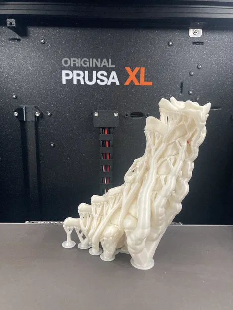 Xương Cổ Sống Linh Hoạt - Image 6