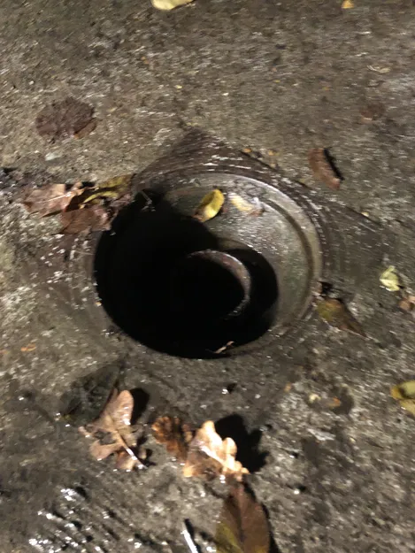 Lưới thoát nước - Ø245x15 - Image 4