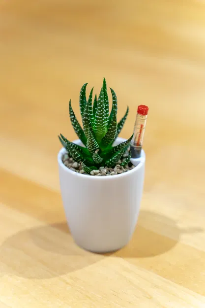 Chậu thủy canh mini, tự tưới nước - Image 1