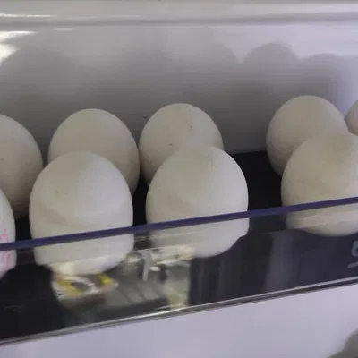 Khay trứng xếp chồng 4 và 6 quả