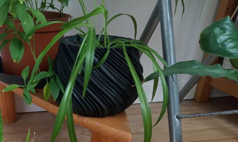 Chậu hoa - Giá đỡ chậu hoa - Khay trồng cây - Image 1