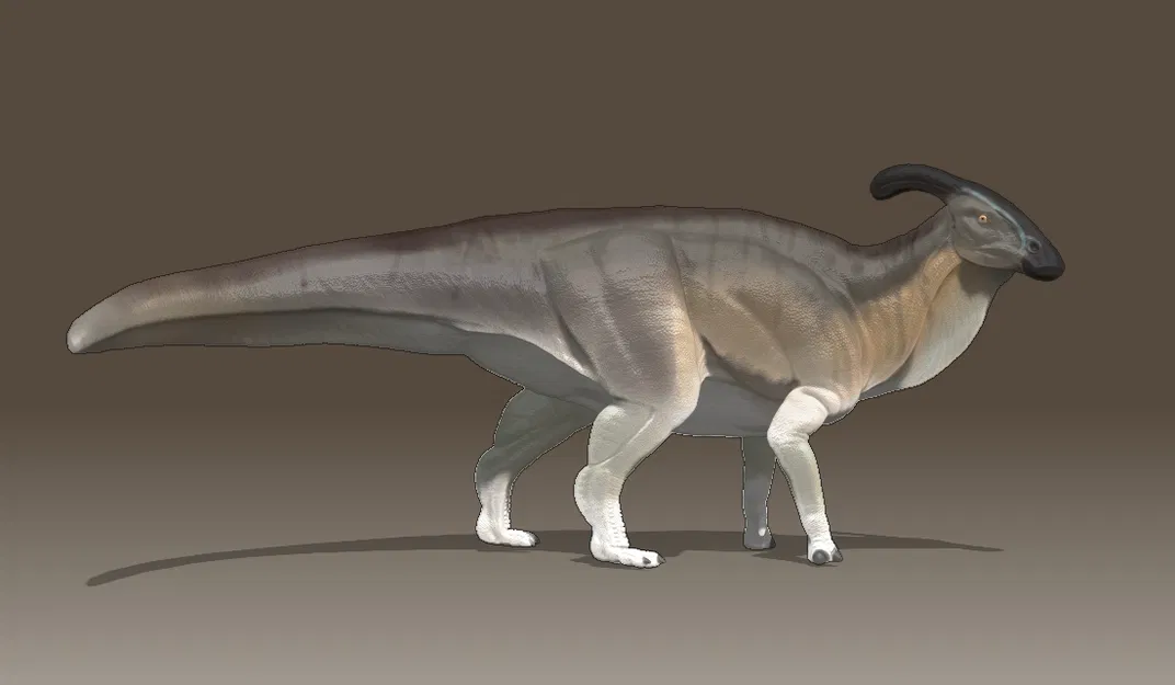 Mô Hình Parasaurolophus Tỉ Lệ 1:35 - Image 4