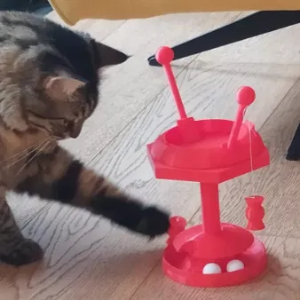 Đồ Chơi Cho Mèo Ba Lần Xoay Vòng!