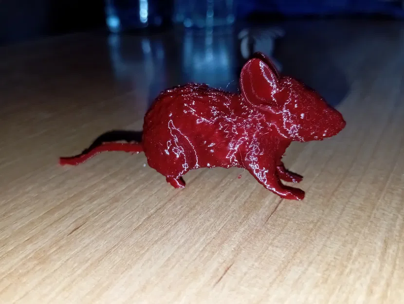 Mô Hình Chuột Đơn Giản - Image 2