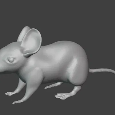 Mô Hình Chuột Đơn Giản