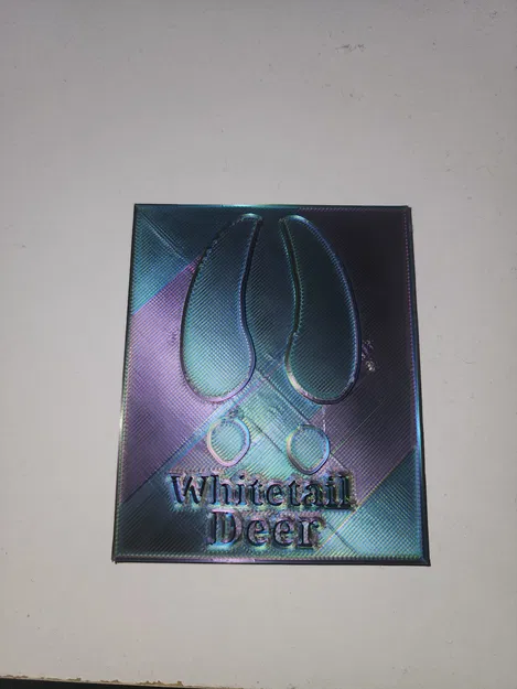 Mẫu Dấu Chân Động Vật Theo Tỷ Lệ - Image 2