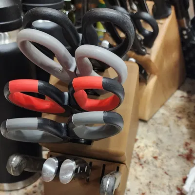 Khay dao bít tết và kéo nhà bếp