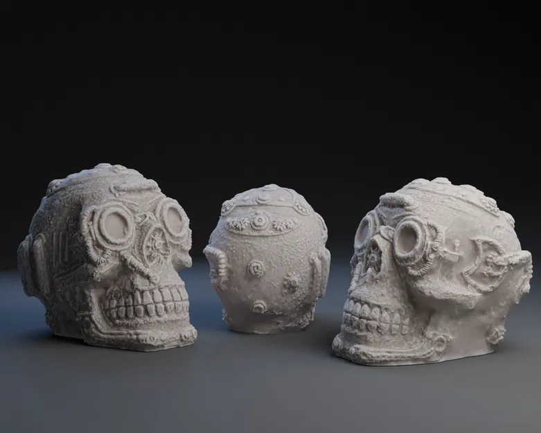 Hộp Sọ Gỉ Sét - Image 1