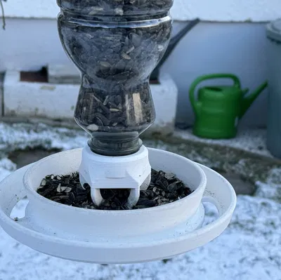 Máy cho chim ăn / Bird feeder