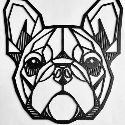 Trang Trí Tường Hình Chó Bully Pháp