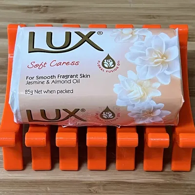 Giá Đỡ Xà Bông Hình Giải Phẫu