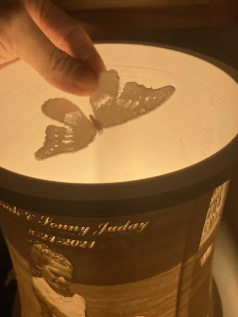 Mô Hình Bướm 3D - Image 3