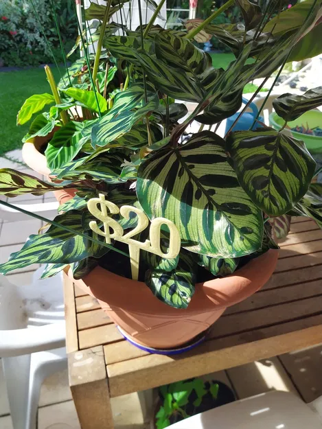 BIỂN BÁO GIÁ ĐÔ LA CHO CHẬU CÂY - Image 3