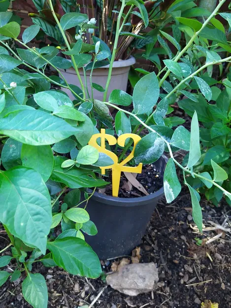 BIỂN BÁO GIÁ ĐÔ LA CHO CHẬU CÂY - Image 4