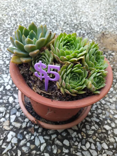 BIỂN BÁO GIÁ ĐÔ LA CHO CHẬU CÂY - Image 6