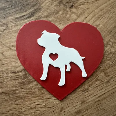 Trái tim giống chó Staffordshire bull terrier