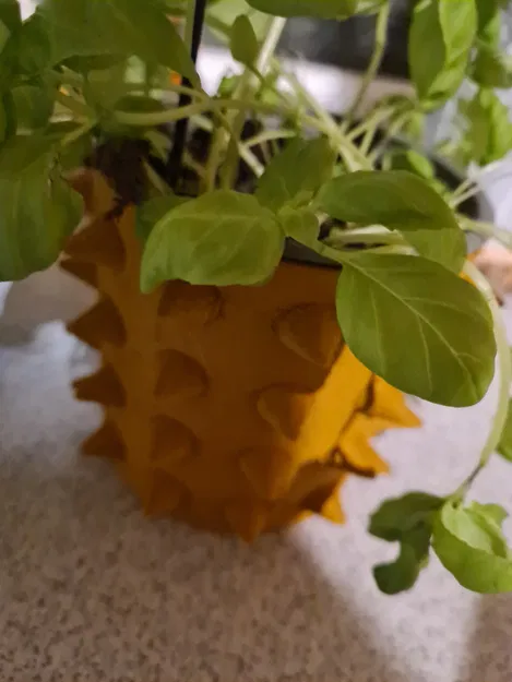 Chậu Hoa Gai - Image 2