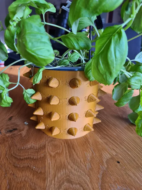 Chậu Hoa Gai - Image 3