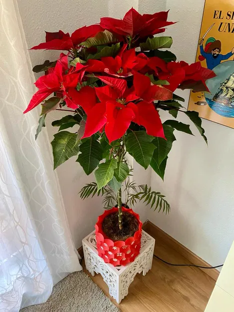 Chậu Hoa Giáng Sinh "Anti-sphere" Remix Vẽ Tuyết - Thiết Kế Vase Mode - Image 3