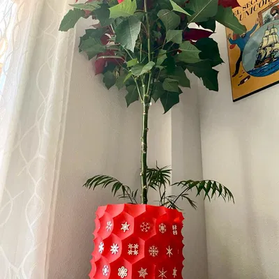 Chậu Hoa Giáng Sinh "Anti-sphere" Remix Vẽ Tuyết - Thiết Kế Vase Mode