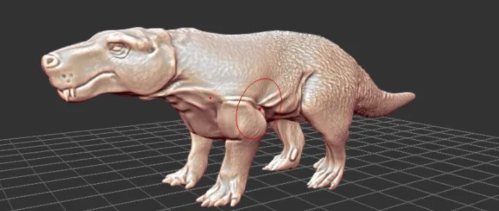 Gorynychus - Loài Synapsid Ăn Thịt Thời Kỳ Permi - Image 1