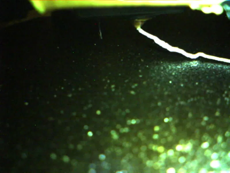 Camera ESP32-CAM cho đầu in Anycubic Kobra 2 - Image 5