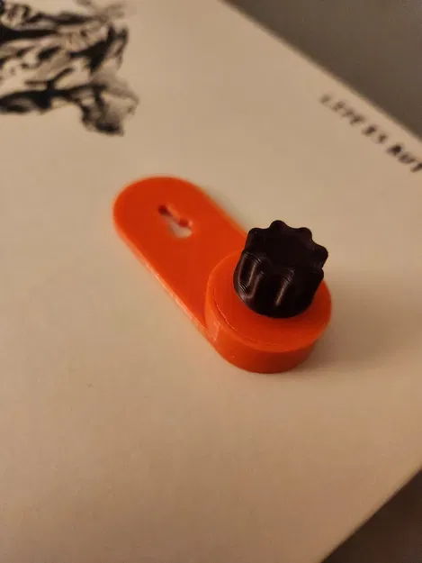 Giá Treo Đĩa Vinyl - Image 2