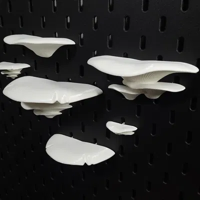 Kệ Nấm Cho Bảng SKÅDIS