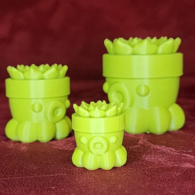 Bạch Tuộc Trồng Sen Đá Số 2 - Image 1