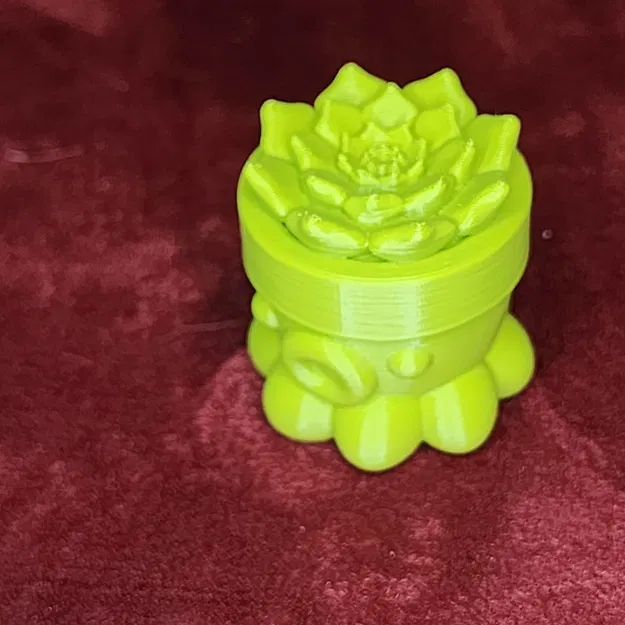 Bạch Tuộc Trồng Sen Đá Số 2 - Image 2