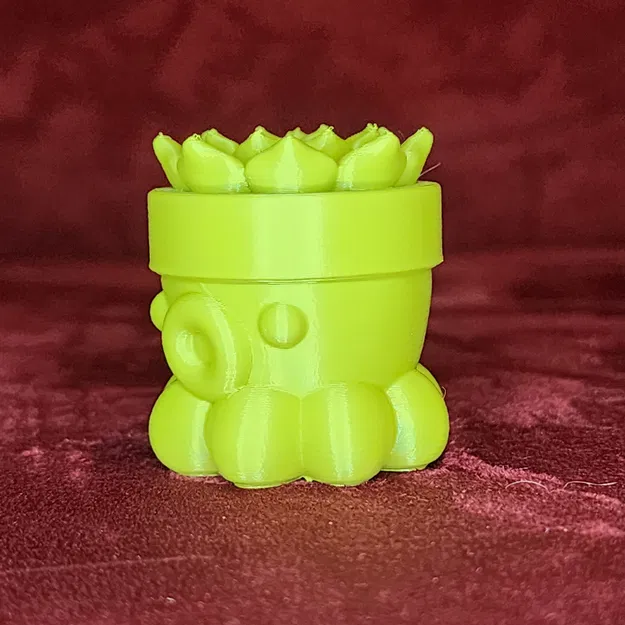 Bạch Tuộc Trồng Sen Đá Số 2 - Image 3