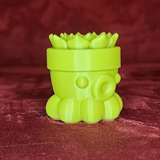 Bạch Tuộc Trồng Sen Đá Số 2 - Image 5