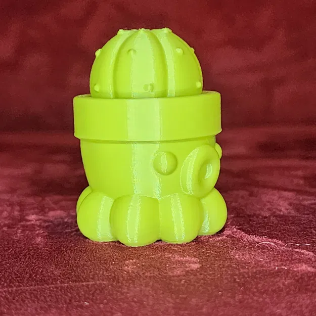 Chậu Cây Bạch Tuộc Số 1 - Image 4