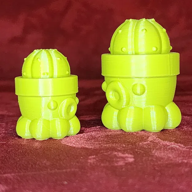 Chậu Cây Bạch Tuộc Số 1 - Image 5