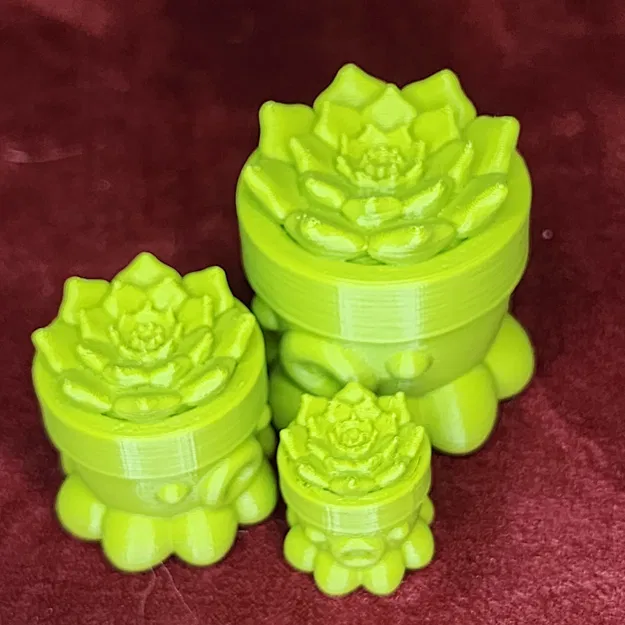 Bạch Tuộc Trồng Sen Đá Số 2 - Image 7