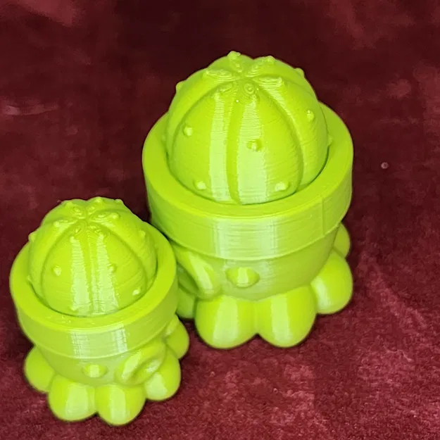 Chậu Cây Bạch Tuộc Số 1 - Image 7