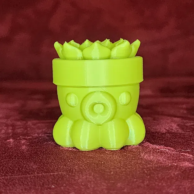 Bạch Tuộc Trồng Sen Đá Số 2 - Image 8