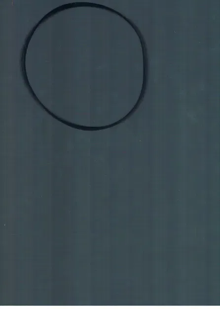 Dây Curoa Thay Thế Cho Máy Hút Bụi Bissell P/N 3031120 - Image 2