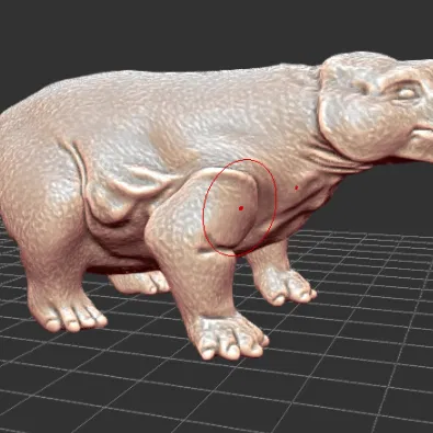 Mô hình Struthiocephalus